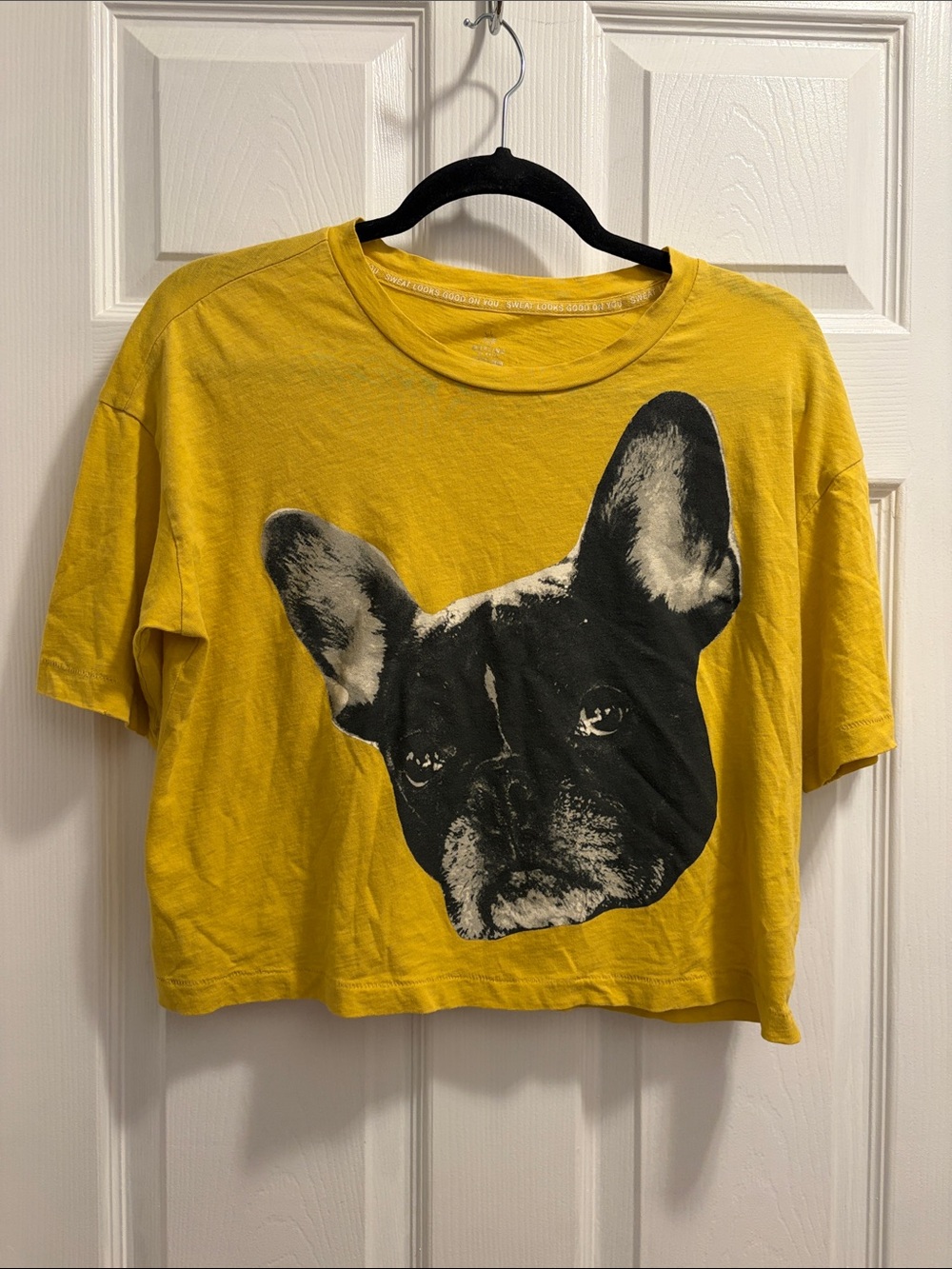 aerie Mustard Yellow Crop Tee with Black French Bulldog Graphic